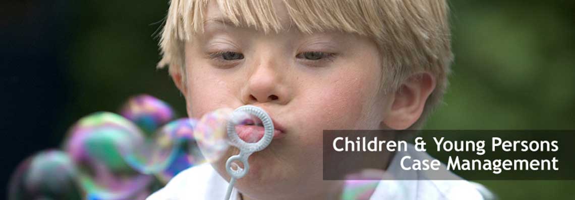 Children and Young Persons Case Management image